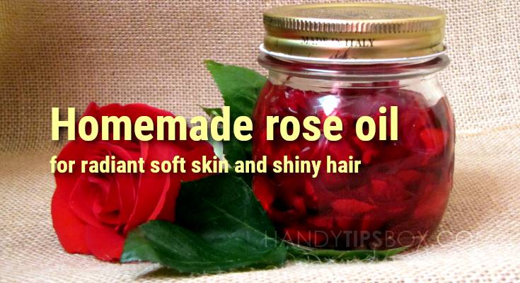 Homemade rose oil for radiant soft skin and shiny hair