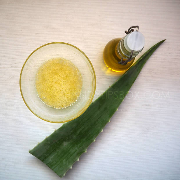 Cosmetic mask for oily skin with Aloe Vera gel and tea tree essential oil. Ingredients.