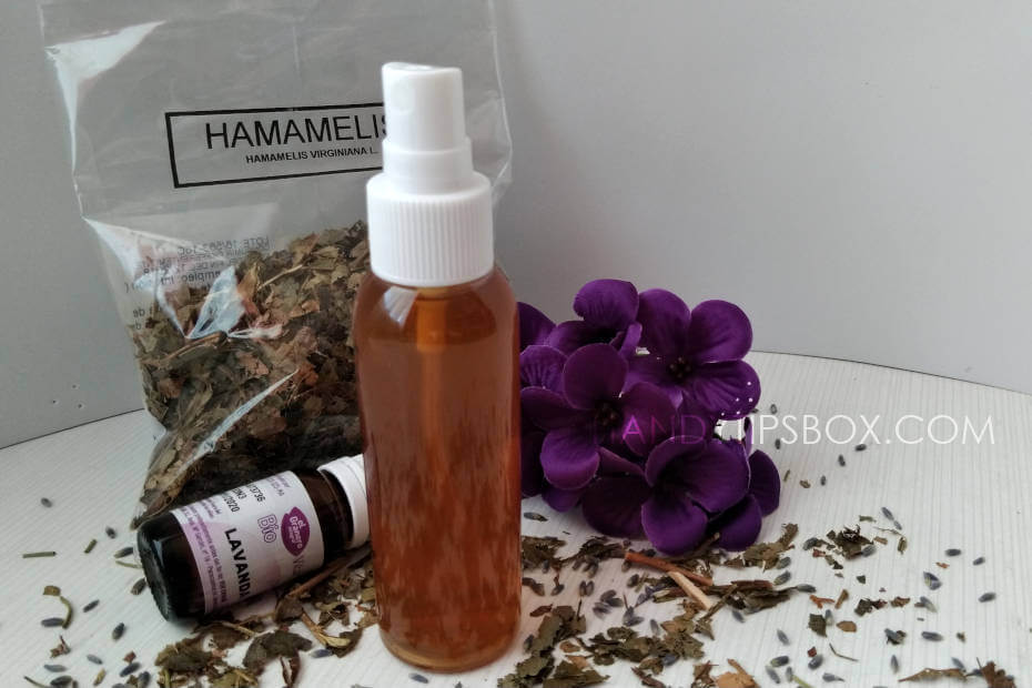 Tónico casero de Hamamelis en una botella con atomizador, Hamamelis seco y lavanda