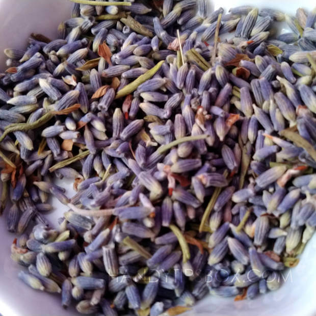 Dried lavender buds for homemade face toner