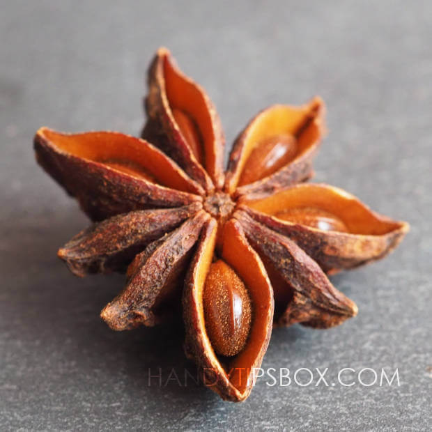 Dry star of the star anise on a gray surface, macro photo